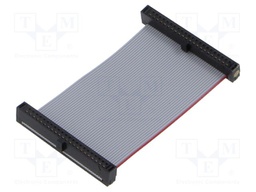 Ribbon cable with IDC connectors; Tape ph: 0.64mm; 50.8mm