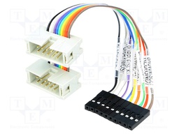 Connection cable; IDC10 x2,pin strips; 127mm