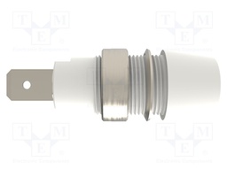 Socket; 4mm banana; 32A; 1kV; white; nickel plated; screw; 41mm