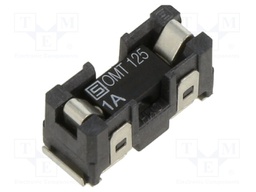 Fuse: fuse; time-lag; 1A; 125VAC; 125VDC; SMD; ceramic; OMZ 125