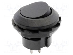 SWITCH, ROCKER, SPST, 10A, 125VAC, BLACK