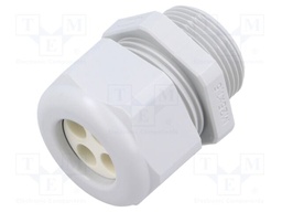 Cable gland