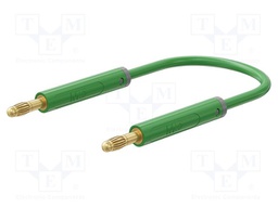 Test lead; 60VDC; 30VAC; 19A; banana plug 4mm,both sides; green