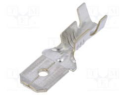 Terminal: flat; 6.3mm; 0.8mm; male; 1÷2.5mm2; crimped; for cable