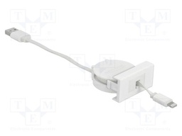 USB module; Easy 45; Apple Lightning plug,USB A plug; white