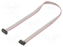 Ribbon cable with IDC connectors; Tape ph: 0.64mm; 228.6mm