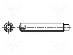 Screw; M6x8; DIN: 915; Head: without head; imbus; steel; HEX 3mm