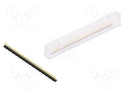 Connector: pin strips; pin header; male; PIN: 31; 2.54mm; SMT; 1x31