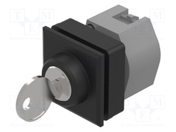 Switch: rotary with key; 30mm; Stabl.pos: 2; black/silver; none