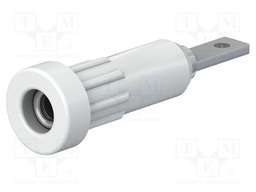 Connector: 2mm banana; socket; 10A; 30VAC; 60VDC; Cutout: Ø4.9mm