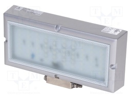 Lamp: LED flood light; IP67; 24VDC
