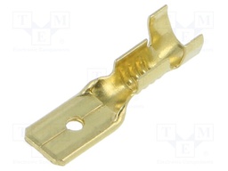 Non-insulated terminal TS_6,3-2/100