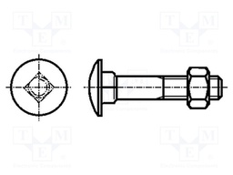 Screw; M6x65; DIN: 603; Head: button; square; steel; zinc; 18mm