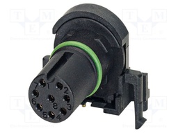 Connector: M12; contact insert; PIN: 8; 30V; angled; IP67; THT; 2A