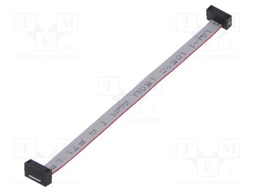 Ribbon cable with IDC connectors; Tape ph: 0.64mm; 101.6mm