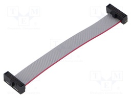 Ribbon cable with IDC connectors; Tape ph: 0.64mm; 76.2mm