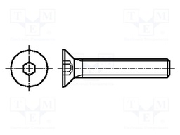 Screw; M6x30; Head: countersunk; hex key; HEX 4mm; stainless steel