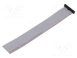 Ribbon cable with IDC connectors; Tape ph: 0.64mm; 152.4mm