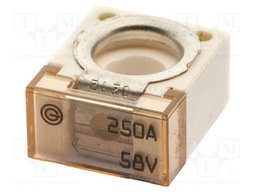 Fuse: fuse; 250A; 58VDC; ceramic,automotive; 20x23.5x11.8mm
