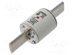 Fuse: fuse; gG; 40A; 500VAC; industrial; NHg