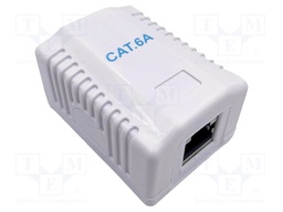Wall socket; white; Cat: 6a; RJ45 socket; wall mount; 53x40x30mm