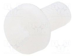 Screw; M3x6; 0.5; Head: cheese head; Pozidriv; 0,8mm; polyamide
