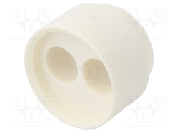 Insert for gland; with thread NPT; Size: NPT3/4"; Holes no: 2; 8mm