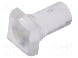 Fiber for LED; 5.8x5.8mm; L: 9.25mm; square; Front: flat; straight