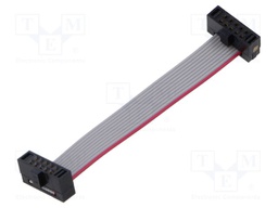 Ribbon cable with IDC connectors; Tape ph: 0.64mm; 50.8mm