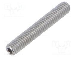 Screw; M4x25; Head: without head; hex key; stainless steel