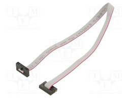 Ribbon cable with IDC connectors; Tape ph: 0.64mm; 254mm