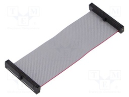 Ribbon cable with IDC connectors; Tape ph: 0.64mm; 76.2mm