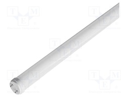 LED lamp; white cold; G13; 220÷240VAC; 850lm; P: 9W; 160°; 6500K