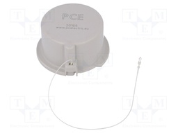 Protection; plug; male; 16A; IEC 60309; IP67; Layout: 3P+N+PE; PIN: 5