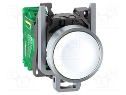 Switch: push-button; Stabl.pos: 1; 22mm; white; Illumin: none; IP66