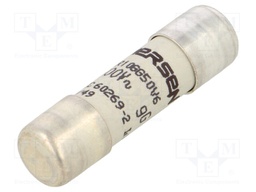 Fuse: fuse; gG,time-lag; 6A; 500VAC; 250VDC; 10x38mm