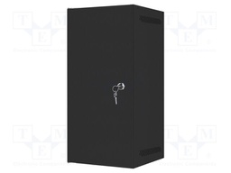 Enclosure: rack cabinet; Standard: 10"; 12U; black; Z: 310mm