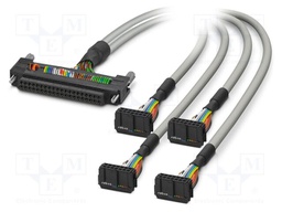 Ribbon cable with IDC connectors; Contacts ph: 2.54mm; 3m; 26AWG
