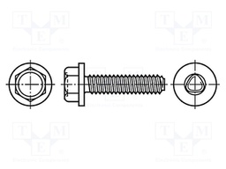 Screw; 6x10; Head: hexagonal; none; steel; zinc; BN: 3326; DIN: 7500D