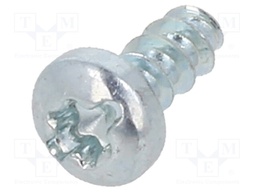 Screw; for plastic; 2,5x6; Head: cheese head; Torx®,slotted; zinc
