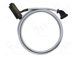 Cable: patch cord