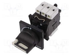 Main emergency switch-disconnector; Poles: 3; on panel; 32A; IP65