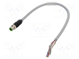 Cable: for sensors/automation; M12; straight; 0.3m; plug; 7000; PUR