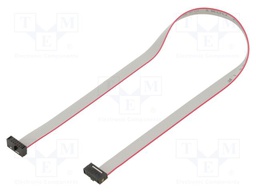 Ribbon cable with IDC connectors; Tape ph: 0.64mm; 279.4mm