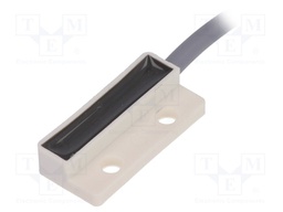 Reed switch