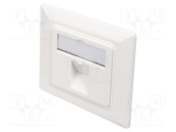 Wall socket; Keystone,angled; white; Number of ports: 2; ABS