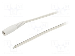 Cable; wires,DC 5,5/2,1 socket; straight; 0.5mm2; white; 5m