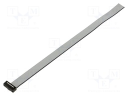 Ribbon cable with IDC connectors; IDC,wires; Tape ph: 1mm; 8"