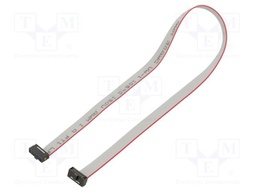 Ribbon cable with IDC connectors; Tape ph: 0.64mm; 304.8mm