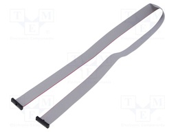 Ribbon cable with IDC connectors; Tape ph: 0.64mm; 635mm